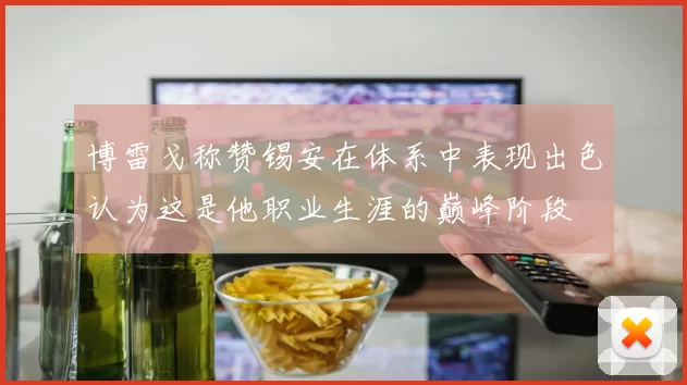 博雷戈称赞锡安在体系中表现出色认为这是他职业生涯的巅峰阶段