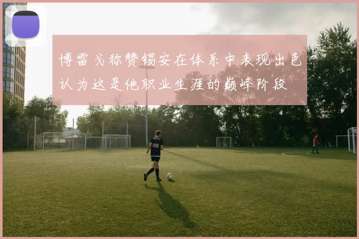博雷戈称赞锡安在体系中表现出色认为这是他职业生涯的巅峰阶段