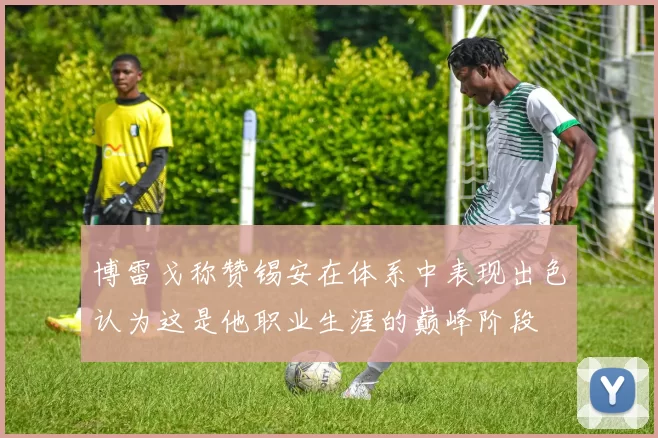 博雷戈称赞锡安在体系中表现出色认为这是他职业生涯的巅峰阶段