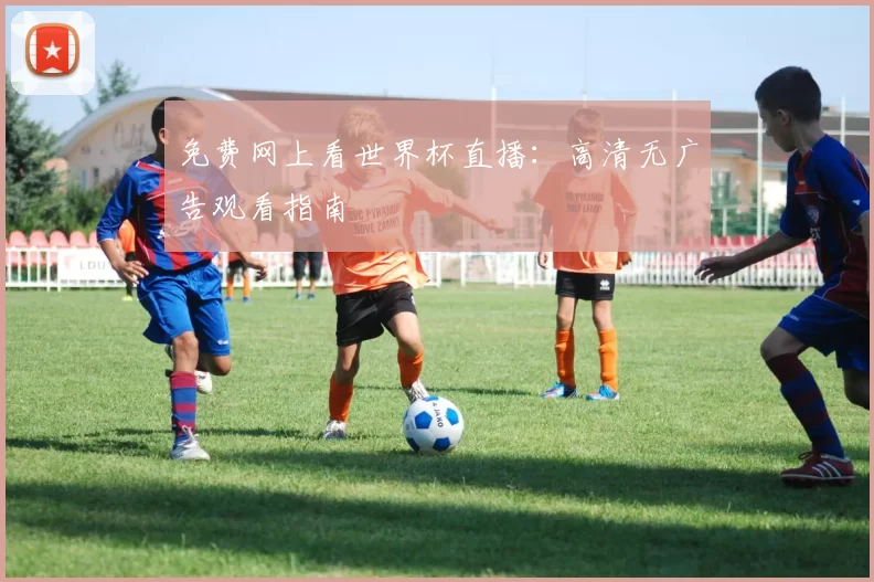 免费网上看世界杯直播：高清无广告观看指南