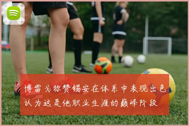 博雷戈称赞锡安在体系中表现出色认为这是他职业生涯的巅峰阶段
