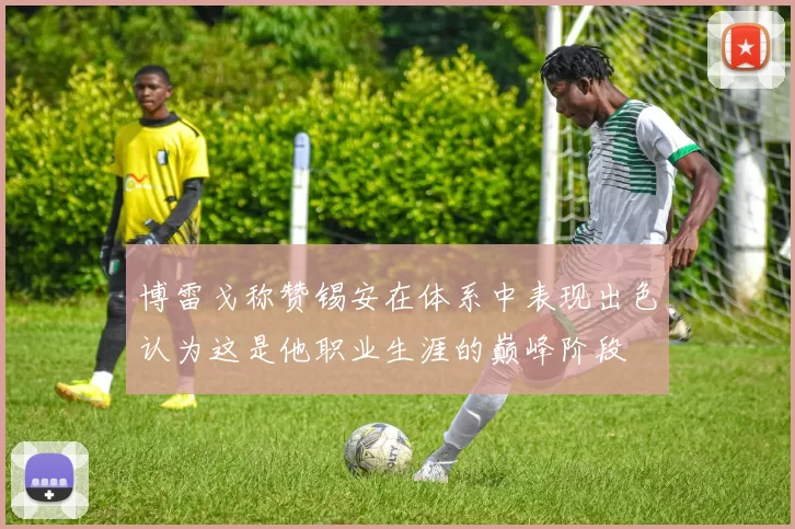博雷戈称赞锡安在体系中表现出色认为这是他职业生涯的巅峰阶段