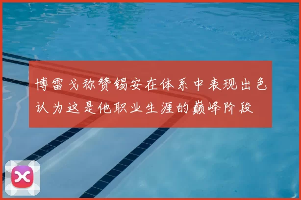 博雷戈称赞锡安在体系中表现出色认为这是他职业生涯的巅峰阶段