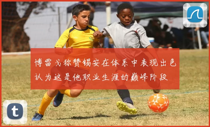 博雷戈称赞锡安在体系中表现出色认为这是他职业生涯的巅峰阶段