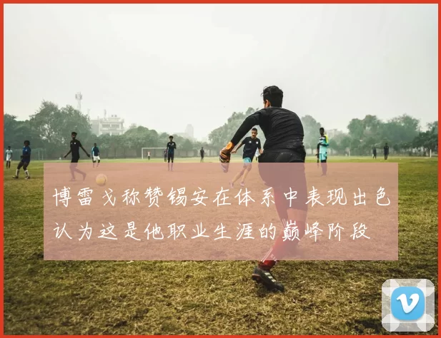 博雷戈称赞锡安在体系中表现出色认为这是他职业生涯的巅峰阶段