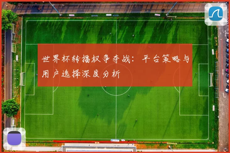 世界杯转播权争夺战：平台策略与用户选择深度分析